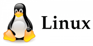 لینوکس سرور